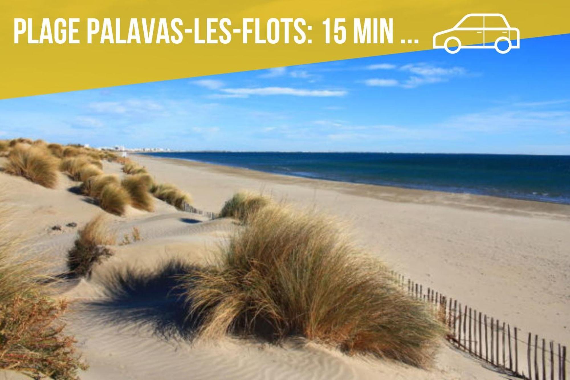 Amja Proche Clinique Saint-Roch Apt 3 Chambres 3 Salles De Bain Parking Gratuit Ideal Famille Groupe Coworking 10 Min Centre Ville 10 Min Plage 5 Min Sortie Autoroute Montpellier Zewnętrze zdjęcie